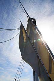 Felucca sailor in Aswan